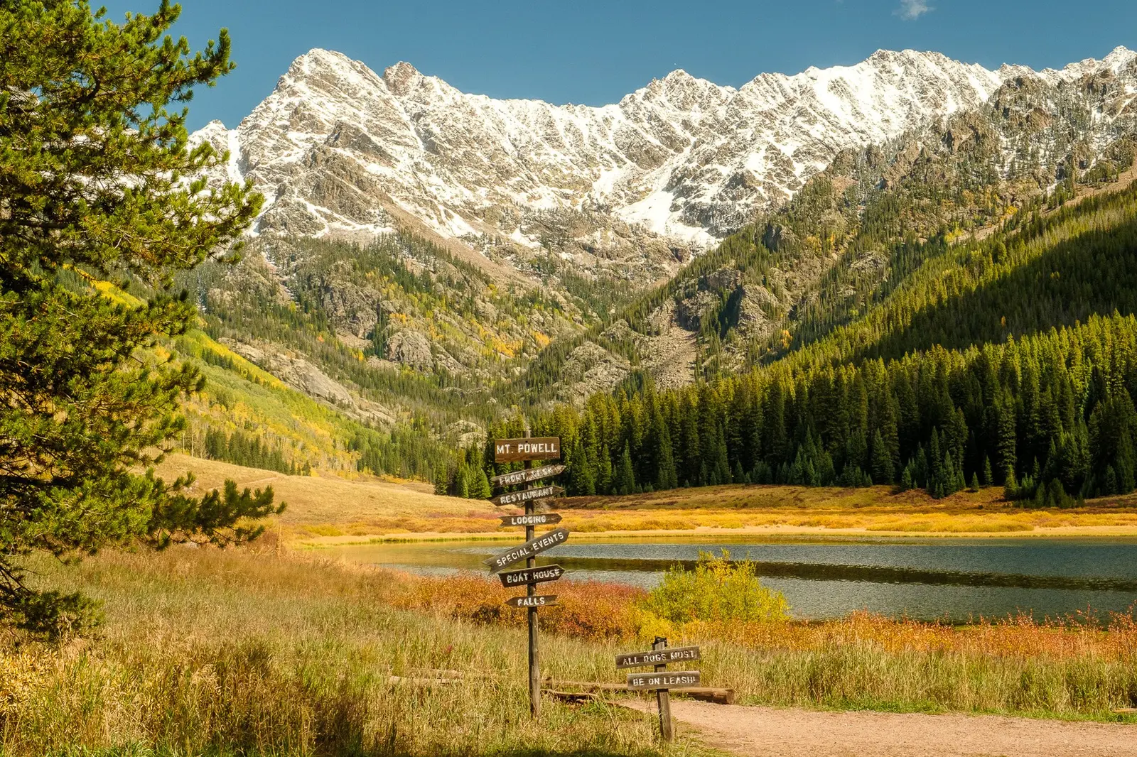 Golden fall meadow and alpine lake below snow-dusted peaks
