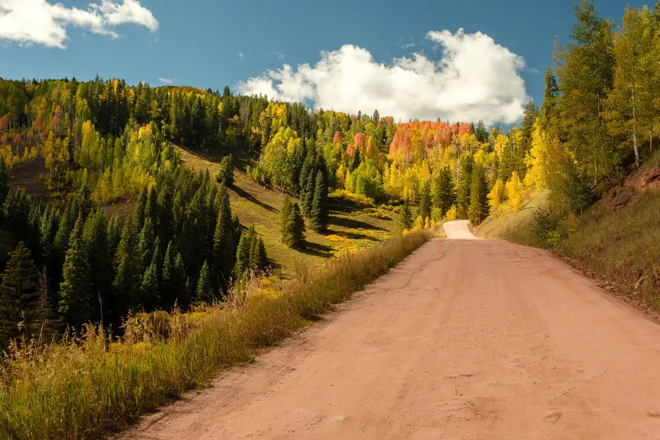 Dirt road climbing through fall aspens and evergreens